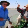 Mr. Reh just netted Mrs. Reh's nice drum for supper.