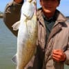 Lun Kuo of Humble, TX caught this 26inch- 7lb speckled trout on live shrimp.