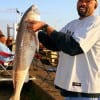 Eric Walter of Houston, caught this 37inch tagger bull red on shrimp.