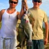 Fishin buds Thomas  Sprouse and Tracy Rector of Hardin, TX tethered up this fine string of  drum caught on miss nancys shrimp.