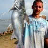 Tim Strmpel of Channellview Tx took this 8lb gafftop on a miss nancy shrimp.