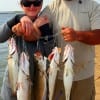 Ana and Ivo Ivanov of Kingwood,TX took this fine stringer of trout on plastics.