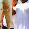 Veronica and Chris Vasquez of Houston caught this huge 38inch tagger bull red on cut bait.