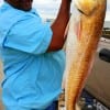IMG_0409- Ernest Faulty of Houston took this 38inch tagger bull red on shrimp-