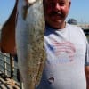Joe Defalcon of Houston took this nice speck on live shrimp.