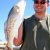 Jake Hebert o Hamshire hefts this 24inch slot red caught on a miss nancy shrimp.