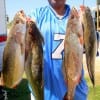 Karl Bever hefts four of his 7 specks he took on berkley gulp.