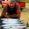 Katy angler Kevin Bell night fished with miss nancy live shrimp for these 5 trout.