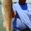 Houston angler Leonard Fields caught and released this 34 inch redfish he took on live shrimp.