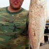 Pearland, TX angler Justin Paden took this 24inch slot red on a miss nancy live shrimp.