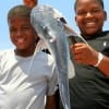 Playfull buds Jonathon and Jerrick Heron of Houston nabbed this nice gafftop on a miss nancy shrimp.
