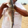 Katy, TX angler Shaunta Isom shows off her one of many gafftop caught on shrimp.