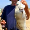 Houston angler James Marz landed this nice drum on live shrimp.