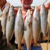 Frank -Moe-Bunyard of Tarkington Prairrie, TX fished a #28 mirror lure for this fine stringer of specks.