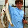 The Woodlands, TX angler Ian McPhearson fished paddle tails for these nice specks.