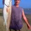 Kilgore, TX angler Josh Laboyteaux caught and released this 31inch tagger red on mullet.