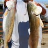 Karl Dever of Houston nabbed this nice speck and red on live shad.
