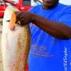 Anthony Eldridge of Houston took this 34inch tagger bull red on shrimp.