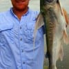 New Waverly, TX angler Chris Roc took this nice gafftop on cut piggy perch.