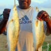 Brian Denton of Humble, TX fished free-lined shrimp for these nice specks.