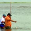 Baywader lands a small trout.