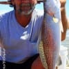 Alan Edwards of Elysian Fields TX took this nice speck on a finger mullet