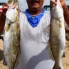 Don Kernan of Port Bolivar TX nabbed these two nice specks on a C-8 Mirror lure