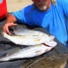 Jasper, TX angler Chris Lane cranked a gold Rat-L-Trap to catch these nice trout and flounder