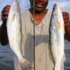 Calvin Smith of Houston night fished with curly tailed grubs to catch these nice specks