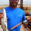 Bill Michell of Winnie nailed this nice speck he caught on a hard plastic