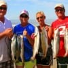 The East Texas Troutmasters teamed up to catch to this impressive stringer of trout on spoons and mirror lures