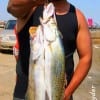 Houston angler Terrance Morrison caught these nice specks while wade fishing with a T-28