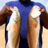 Anthony Washington of Houston caught these 27 and 24 inch slot reds on a finger mullet