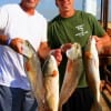 Brother anglers Jim and Ty Towers of Star City AR night-fished with finger mullet and live shrimp to catch these nice slot reds