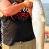 Casey Adair of Timpson TX caught this huge 36 inch tagger bull red on cut mullet