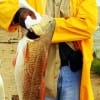 Claude Thomas of Houston nabbed this 32 inch tagger bull red on shrimp