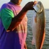 Don Reynard of Conroe TX landed this nice 25 inch slot red on a Berkley Gulp