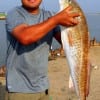Eliseo Rojas of Humble TX caught this 36 inch tagger bull red on a finger mullet