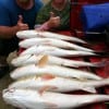Father and Daughter- Whitney Holt and Lestor Moody of Porter TX racked up these 8 slot reds along with SNL