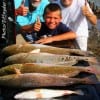 Fishin Buds Devi and Mike Linsicombe along with Roy Hudgens caught these reds, sand trout and drum on live croaker