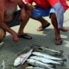 Fishin' Buds, John Watson and Mil Ramos of Houston fished live croaker for these nice trout and red