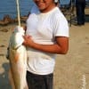 Gilbert Perez JR, a student at Jacksonville Middle School TX caught this nice slot red on a finger mullet