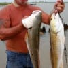 Gilchrist TX angler Capt. Jack fished finger mullet for these nice slot reds