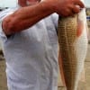 Greg Culver SR of Nassau Bay TX took this 28 inch slot red on shrimp