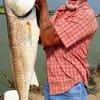 HURRY UP!!! This 40inch Bull red is HEAVEE- sayeth Crystal Beach angler Dwaine Tayor just before he released it