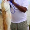 Houston angler Lee Richards hooked a live piggy perch on his rig and to catch this MONSTER 37inch Bull Tagger Red- WOW!!