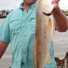 John Brown of Spring TX slammed this 26 inch slot red fishing a finger mullet
