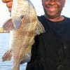 Keith Woodard of Houston took this keeper eater drum on shrimp
