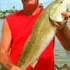 Ken Richard (Cajun) of Bridge City TX nabbed this 27 inch slot red on a finger mullet