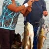 Maria and Baldo Pineta of Pasadena TX fished finger mullet to catch this impressive stringer of reds and gafftop